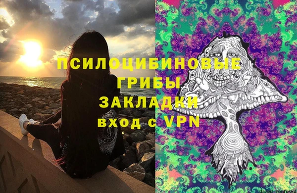 ГАЛЛЮЦИНОГЕННЫЕ ГРИБЫ Абаза