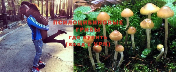 jwh Абинск