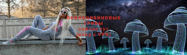 ешки Алзамай