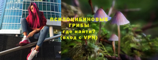 дживик Алексеевка