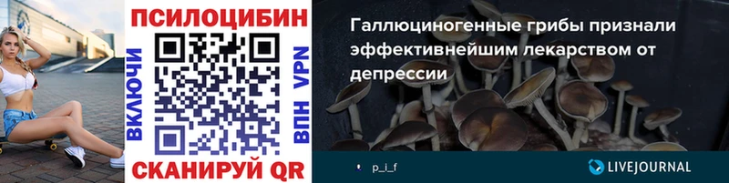 Галлюциногенные грибы Cubensis  Королёв 
